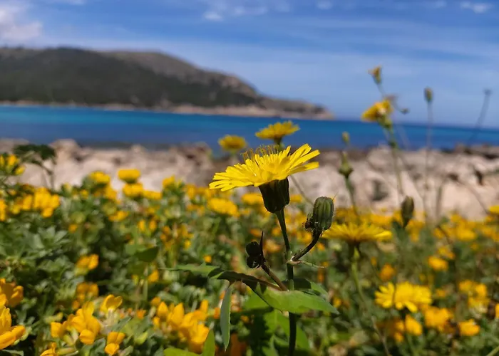 Yourhouse Magdalena Villa